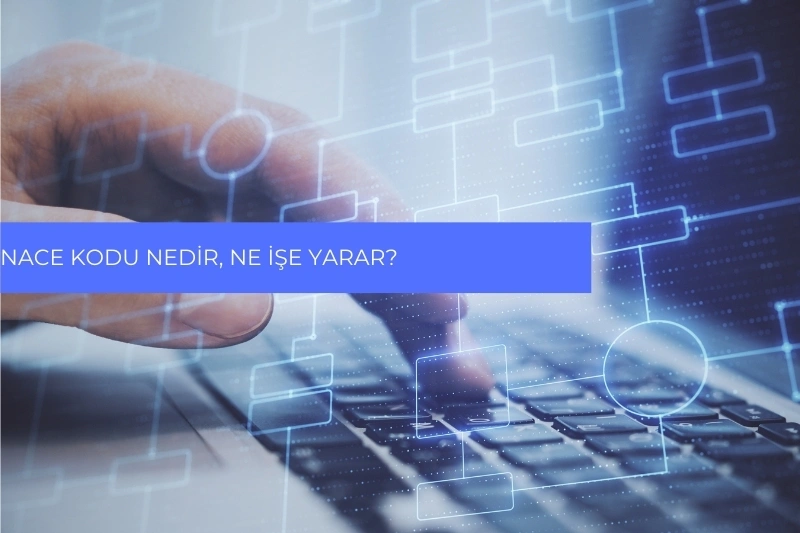 NACE Kodu Nedir, Ne İşe Yarar?